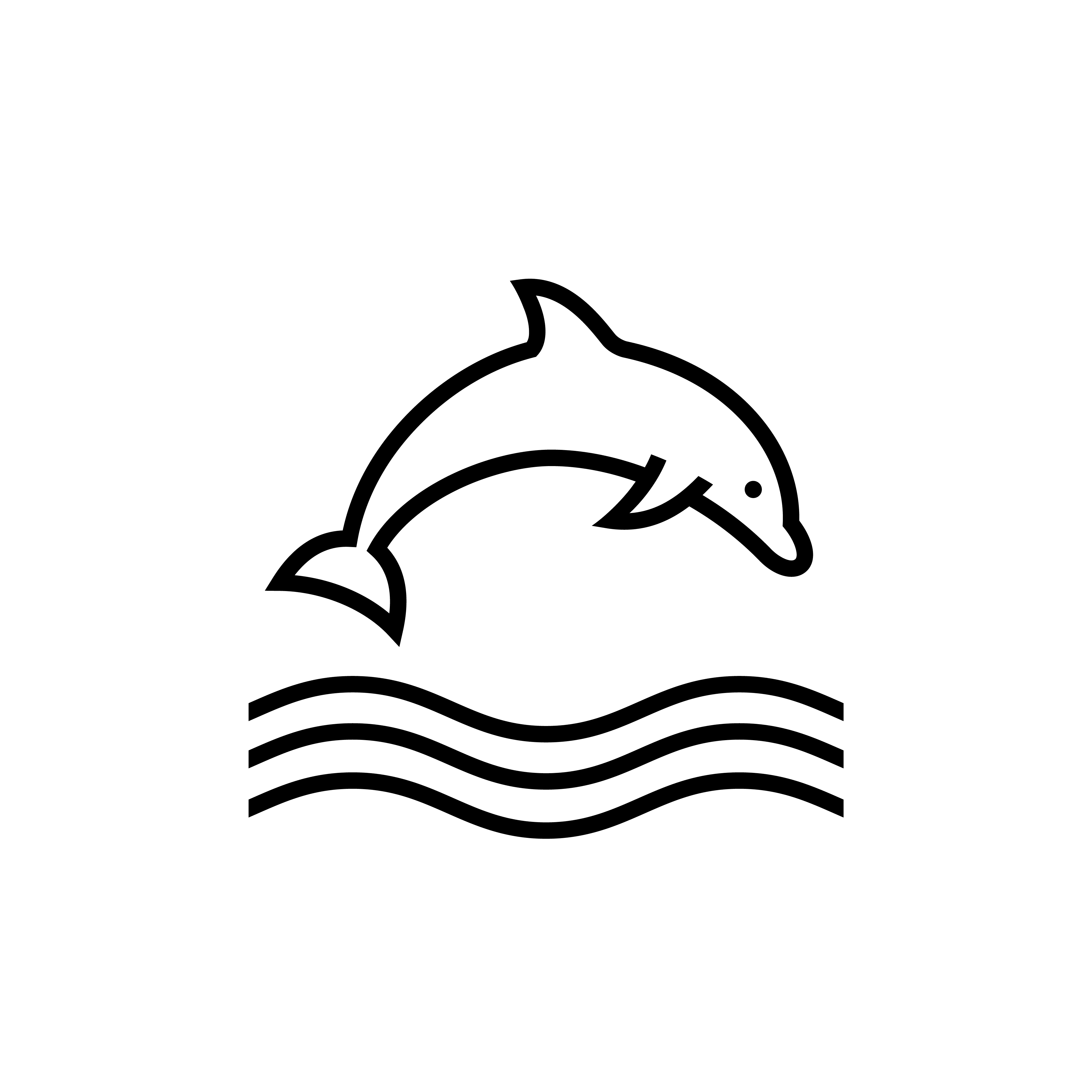 RB icon marine