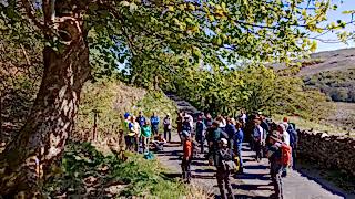 People stood gathered on a lane under a lush green tree at RSPB's Wild Haweswater site.