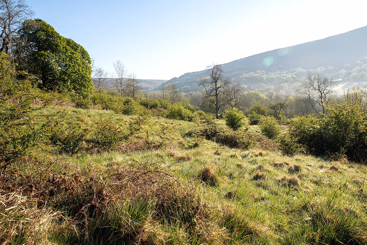 Thornhill Carr Reserve