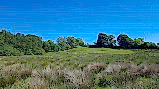 Cefn Garthenor rewilding area