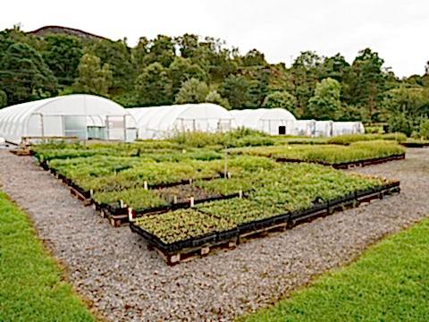 Dundreggan Nursery