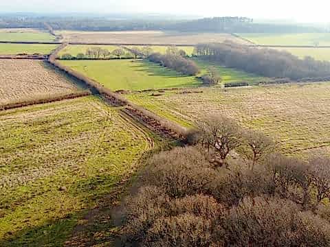 Landscape view of Wild Woodbury Rewilding Project in Bere Regis, Dorset