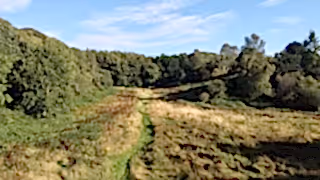 Wiltshire landscape