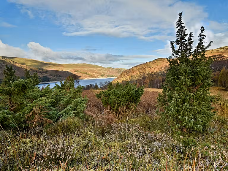 crubby Haweswater Scene