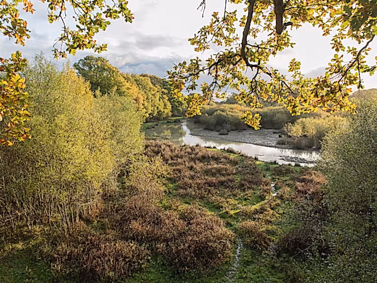 Knepp Wildlands in autumn