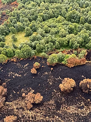 Photo of a landscape which is half burned from a wildfire and half unburnt.
