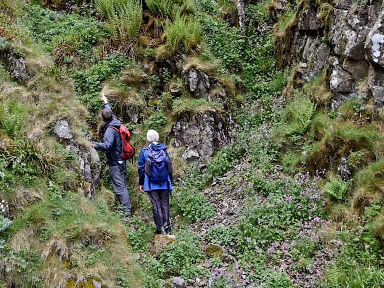 RSPB Haweswater Montane Vegetation Survey