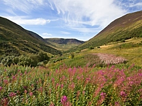 Carrifran Valley in the Scottish Borders, site of major woodland restoration project, Scotland