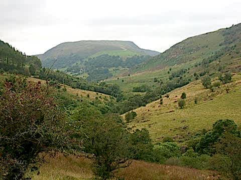 Rwt gilfach valley