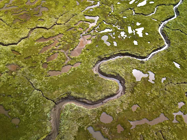 Stiffkey Salt Marshes, Norfolk