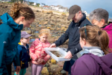 Adults and children on a beach comb.