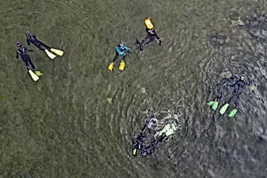 Aerial image of people snorkelling.