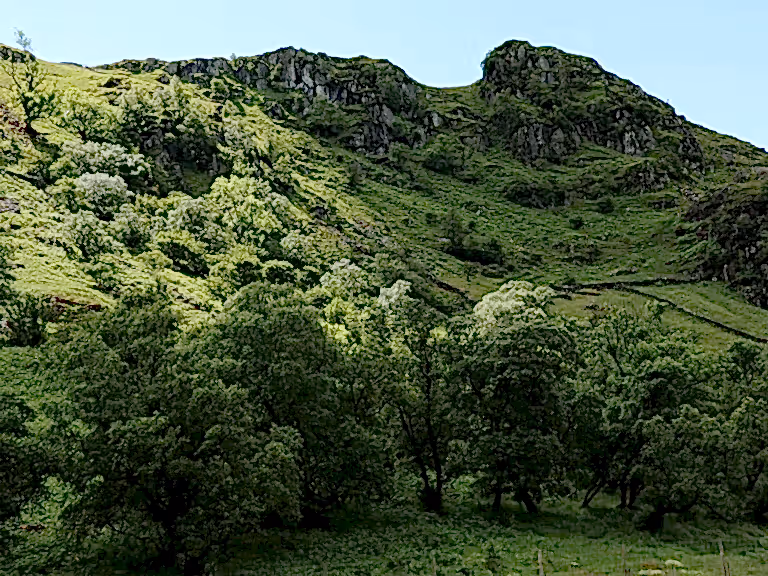 Swindale haweswater natural regeneration