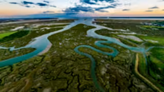Tollesbury marshes