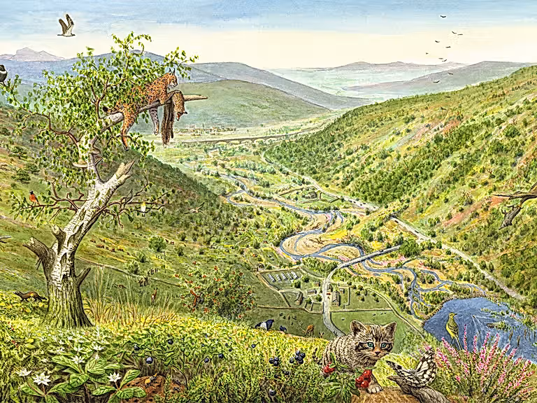 Uplands future
