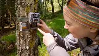 Wildlife recording in Bunloit Estate